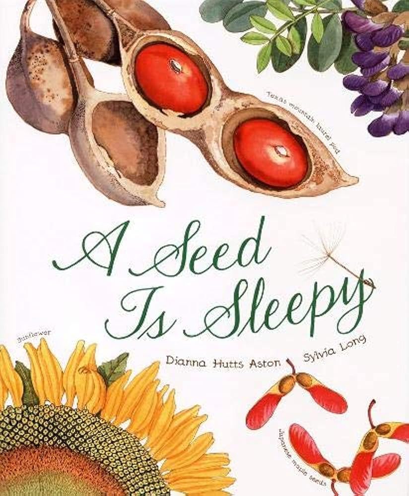 A Seed Is Sleepy (Sylvia Long) cover image