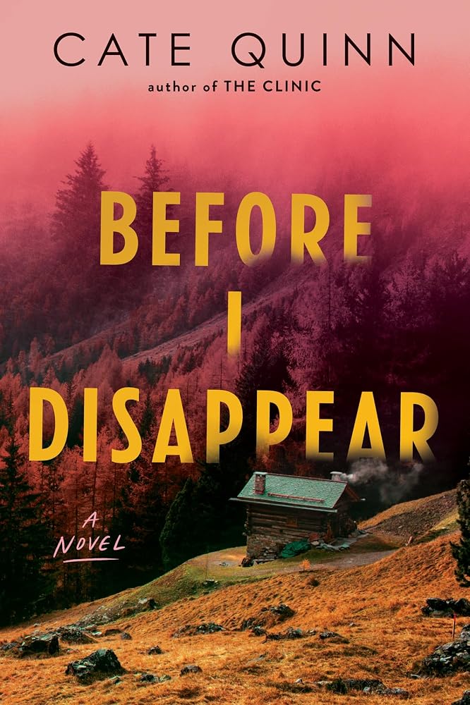 Before I Disappear: A Novel cover image