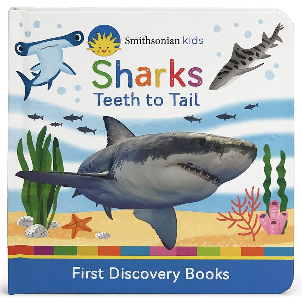Sharks (Smithsonian Kids First Discovery Books) cover image