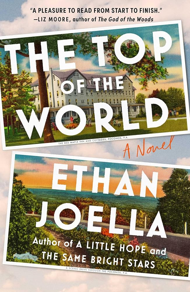 The Top of the World: A Novel cover image
