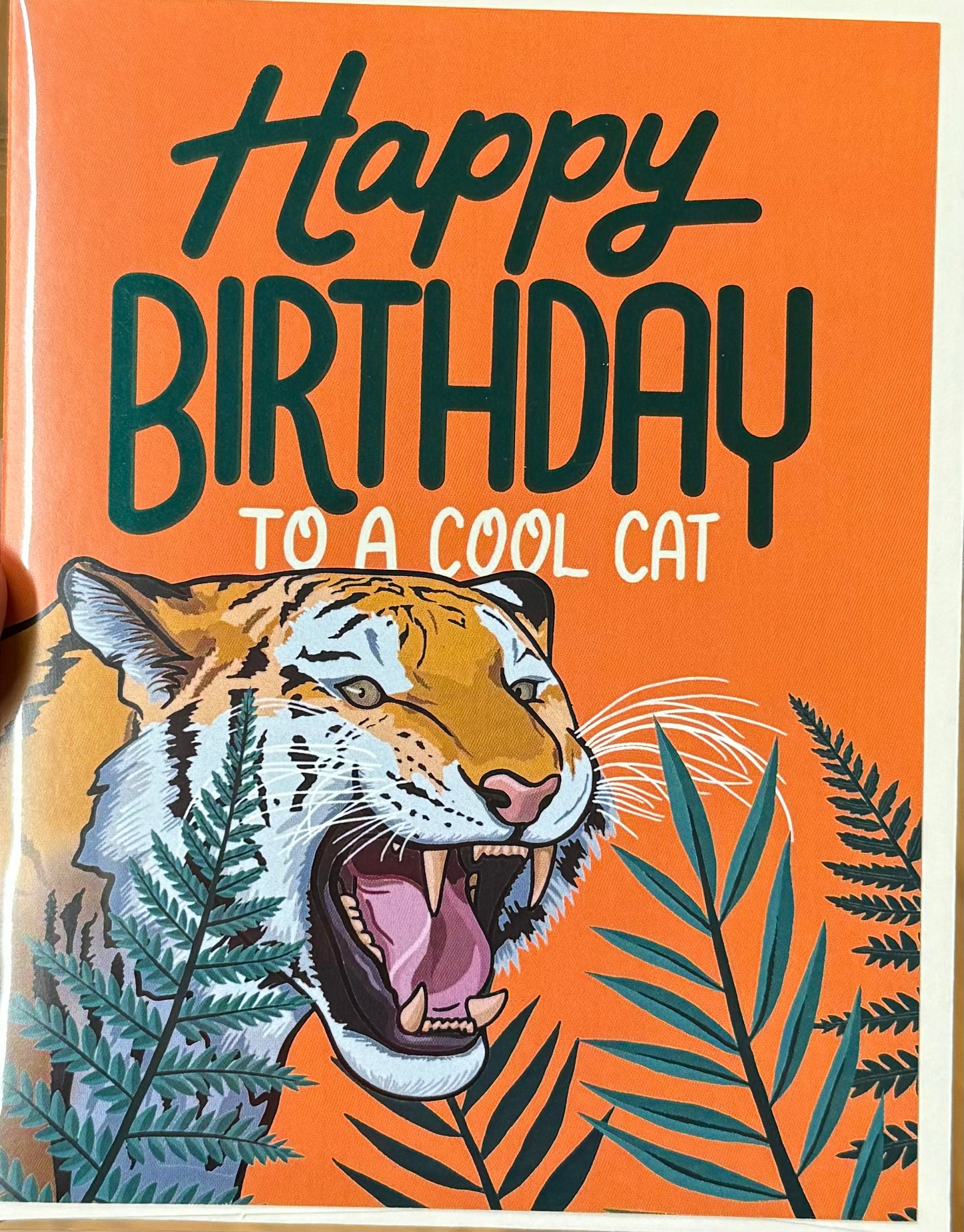 Happy Birthday to a Cool Cat Card