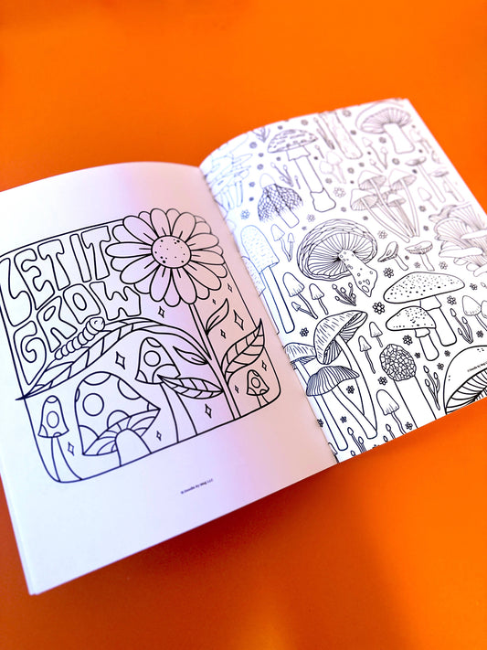 A Doodle Filled Coloring Book