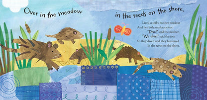 Over in the Meadow: Board book