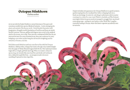 Fungi Lore