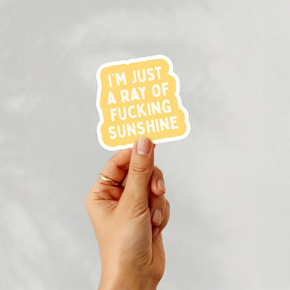 Funny Stickers, Swear Words - Ray of Fucking Sunshine