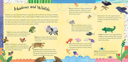 Over in the Meadow: Board book