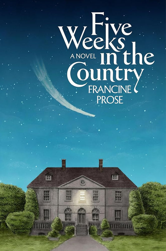 Five Weeks in the Country: A Novel cover image