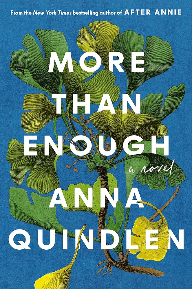 More Than Enough: A Novel cover image