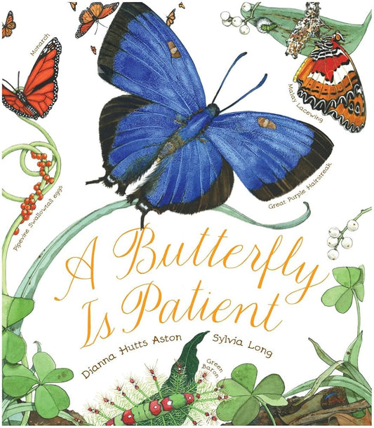 A Butterfly Is Patient (Sylvia Long) cover image