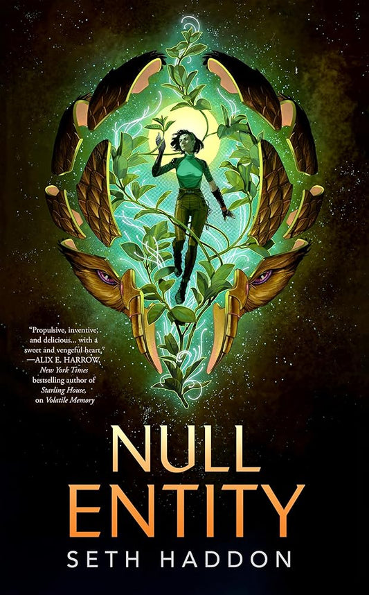 Null Entity (The Volatile Memory Duology, 2) cover image