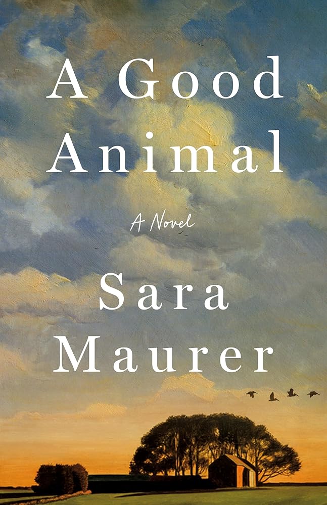 A Good Animal: A Novel cover image