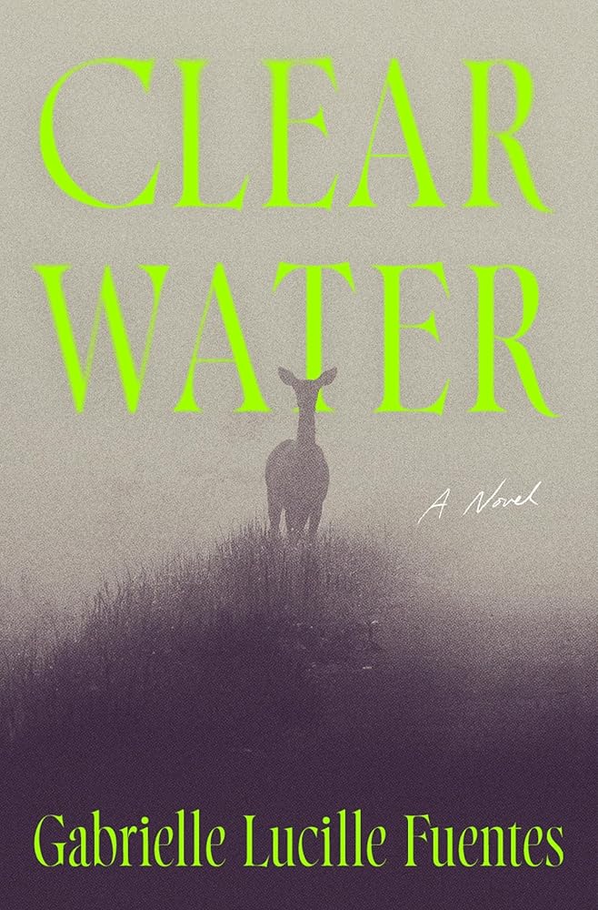 Clear Water: A Novel cover image