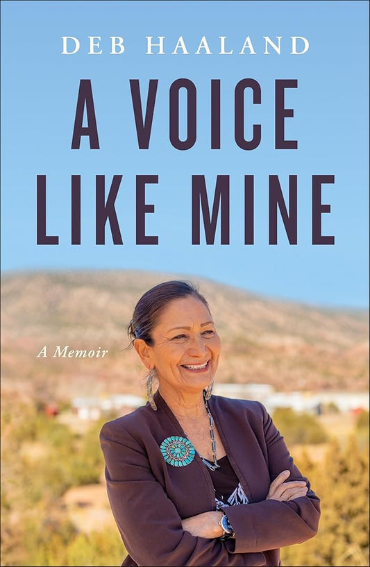 A Voice Like Mine: A Memoir cover image