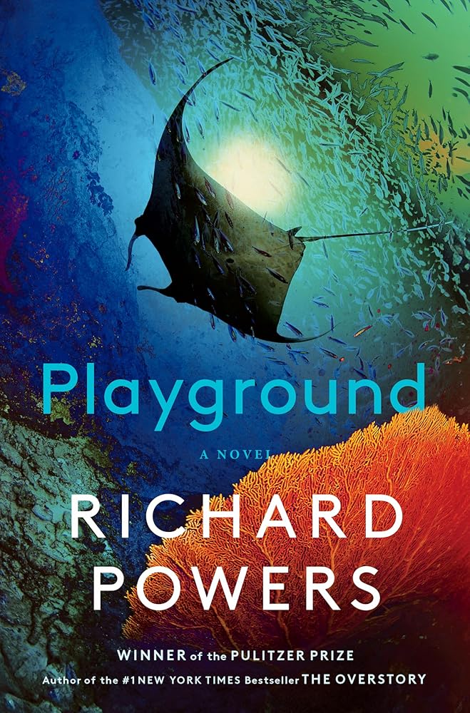 Playground: A Novel cover image