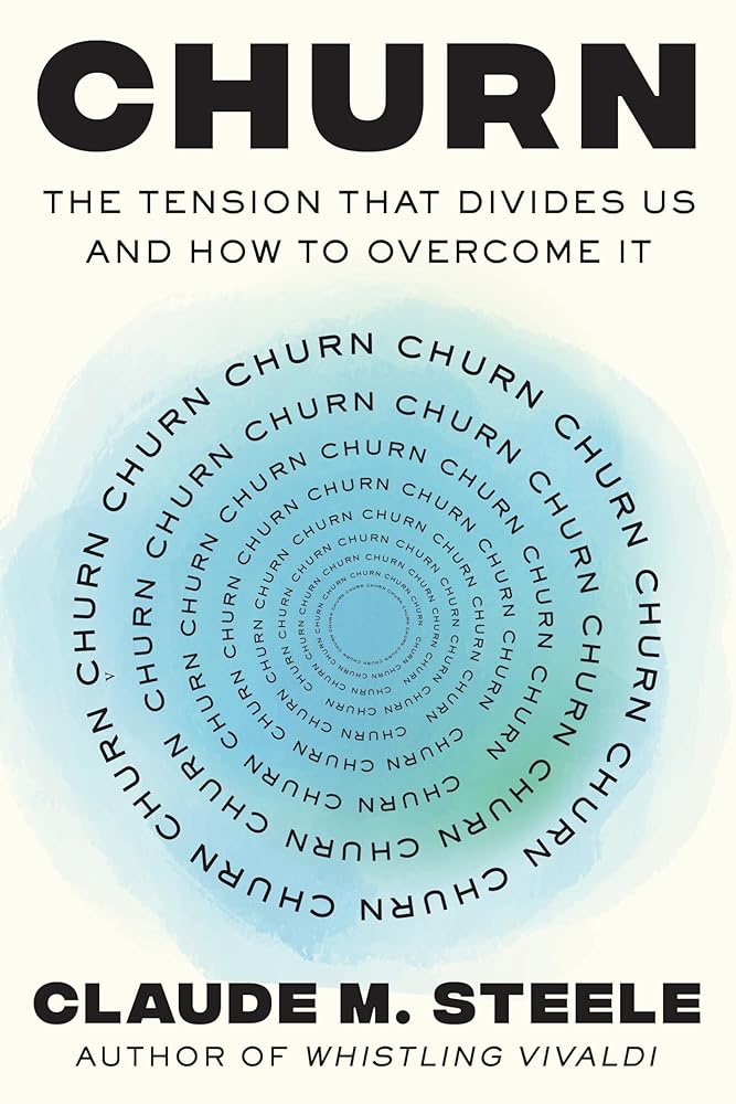 Churn: The Tension That Divides Us and How to Overcome It cover image