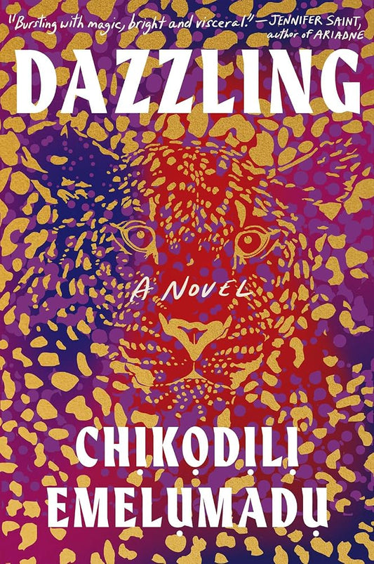 Dazzling: A Novel cover image