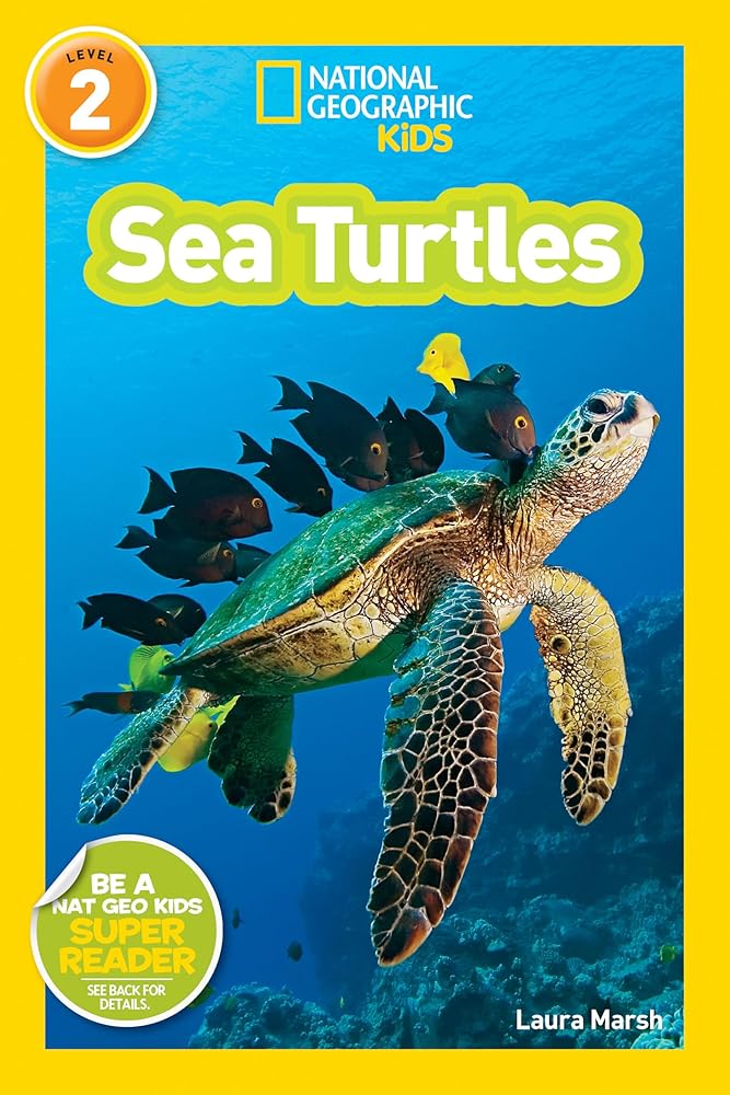 Sea Turtles (National Geographic Kids Readers, Level 2) cover image
