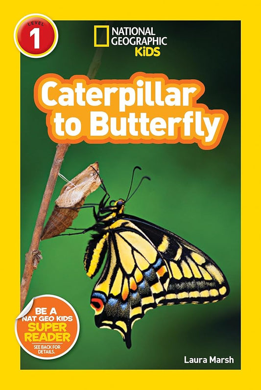 Caterpillar to Butterfly (National Geographic Kids Explore! Readers, Level 1) (National Geographic Kids Readers) cover image