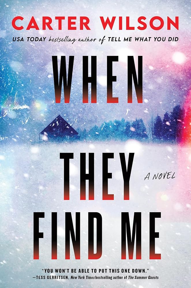 When They Find Me: A Novel cover image