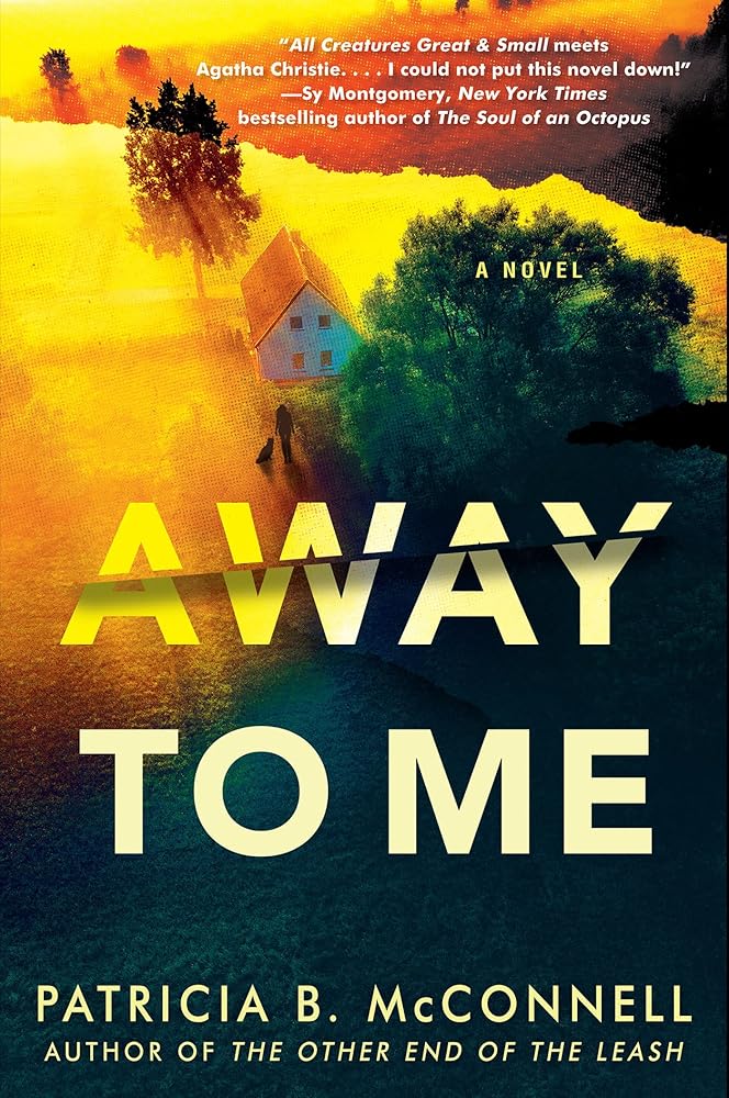 Away to Me cover image