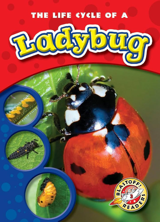 The Life Cycle of a Ladybug (Blastoff! Readers: Life Cycles) (Life Cycles: Blastoff! Readers, Level 3) cover image