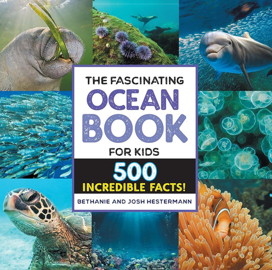 The Fascinating Ocean Book for Kids: 500 Incredible Facts! (Fascinating Facts) cover image