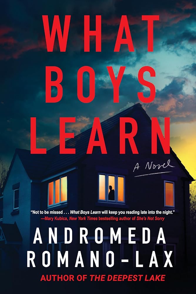 What Boys Learn cover image