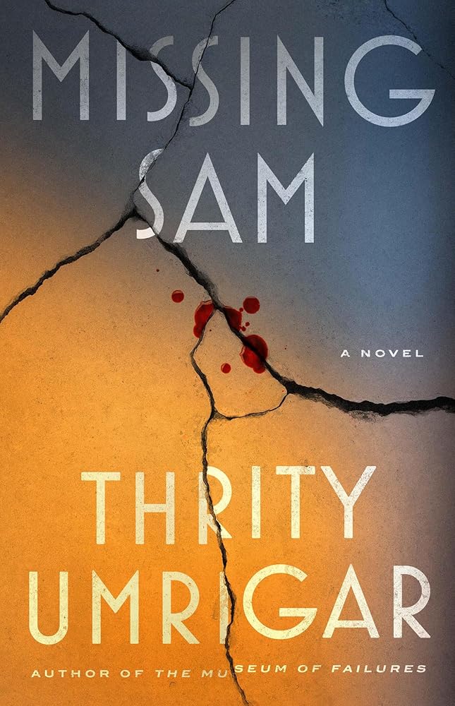 Missing Sam: A Novel cover image