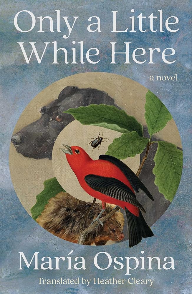 Only a Little While Here: A Novel cover image