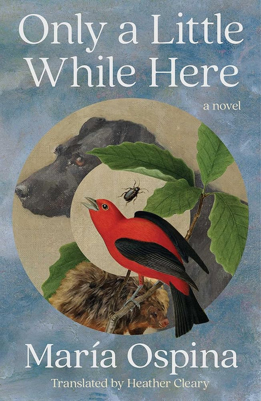 Only a Little While Here: A Novel cover image