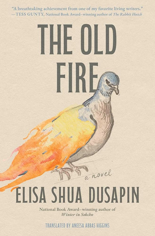 The Old Fire: A Novel cover image