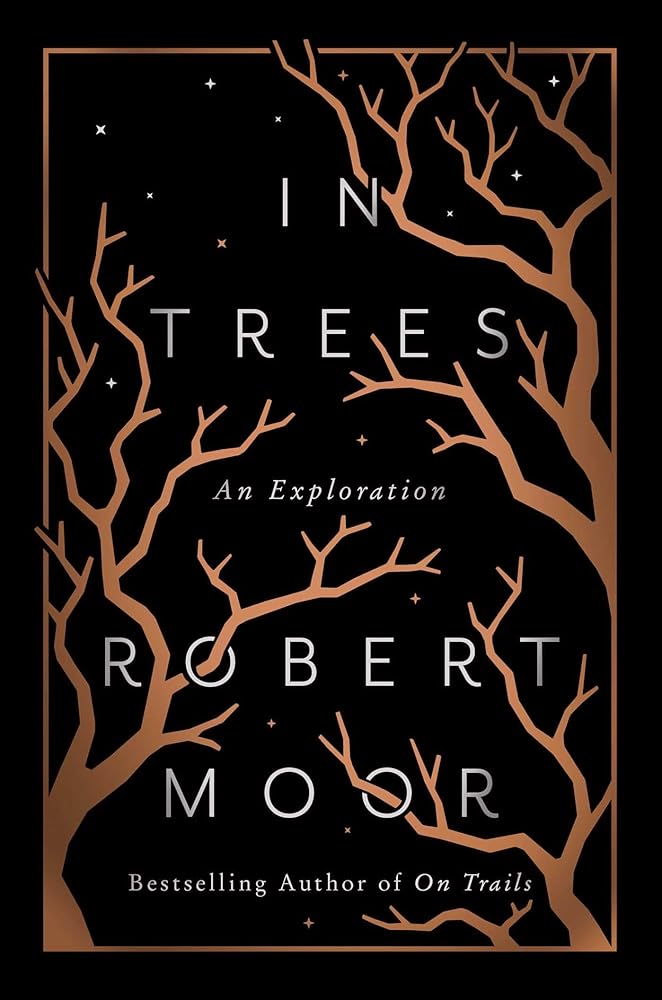 In Trees: An Exploration cover image