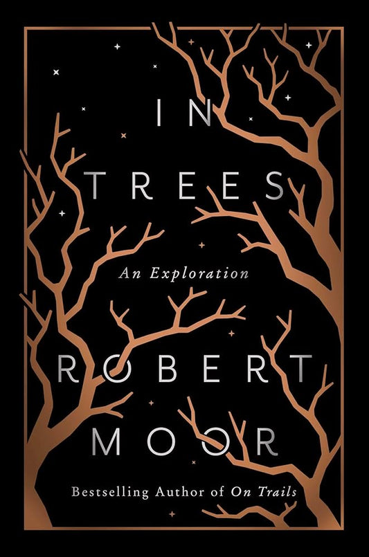 In Trees: An Exploration cover image