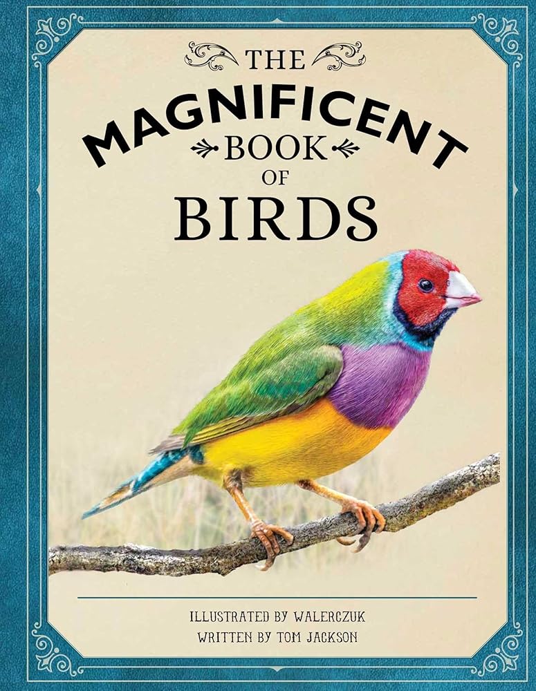 The Magnificent Book of Birds cover image