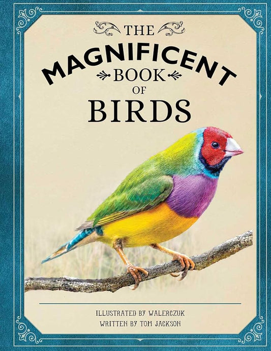 The Magnificent Book of Birds cover image