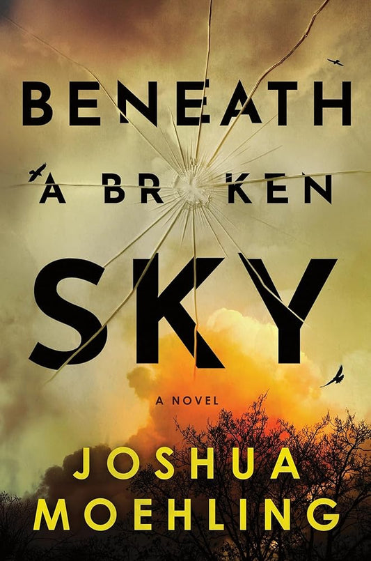 Beneath a Broken Sky: A Novel (Ben Packard, 4) cover image