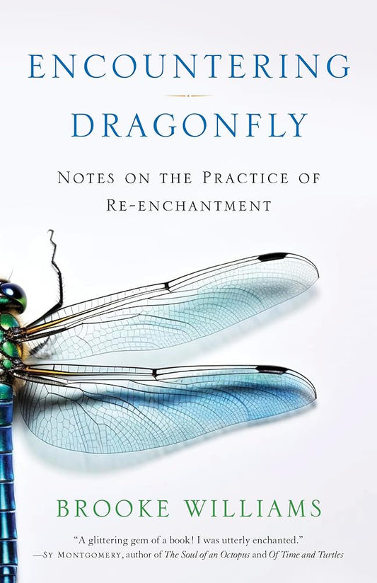 Encountering Dragonfly: Notes on the Practice of Re-enchantment cover image