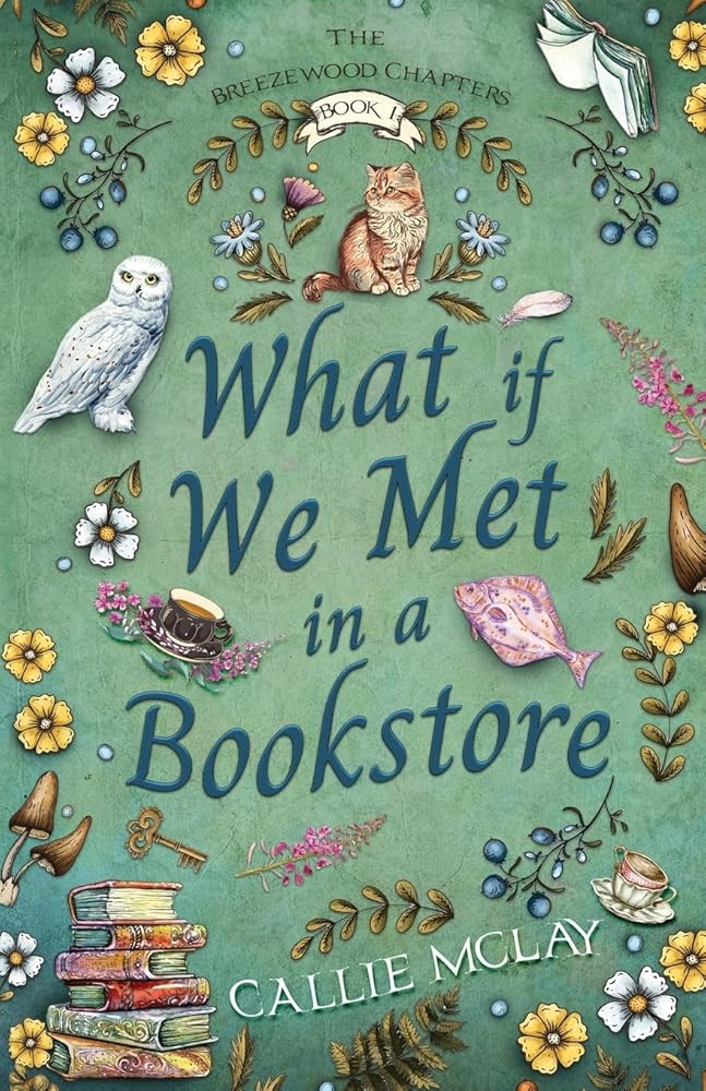 What If We Met In A Bookstore (Breezewood Chapters) cover image