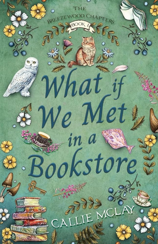What If We Met In A Bookstore (Breezewood Chapters) cover image