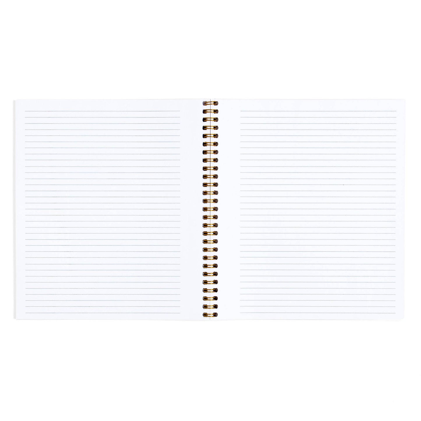 Dragonfly Stars Hollow Spiral Notebook
