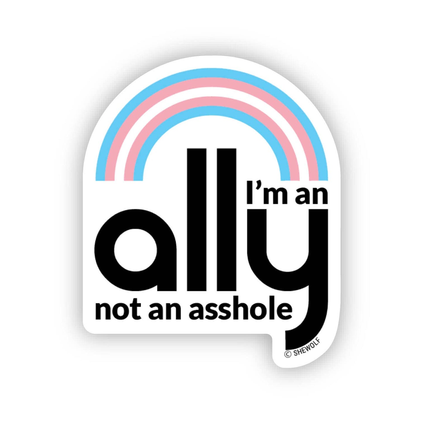 Sticker: I'm an Ally, Not an Asshole / Support Trans Rights