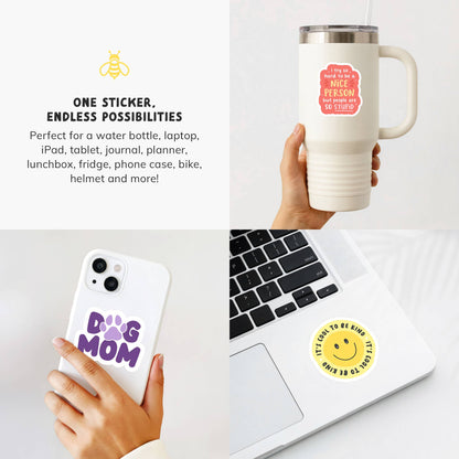 Funny Stickers for Adults, Adult Humor, Swear Words