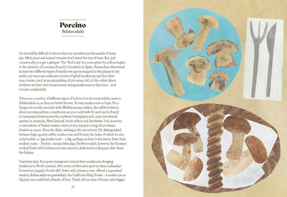 Fungi Lore