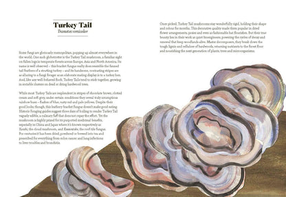 Fungi Lore